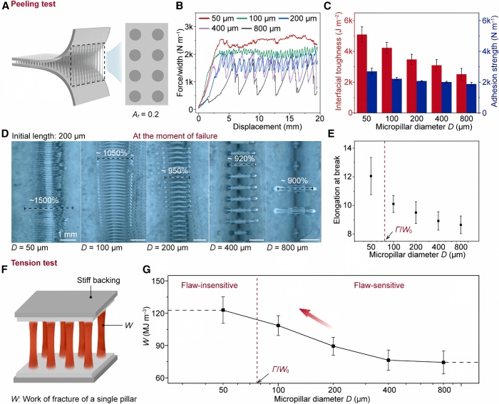 The bonding performance of the microcolumn structure interface The bonding performance of the microcolumn structure interface