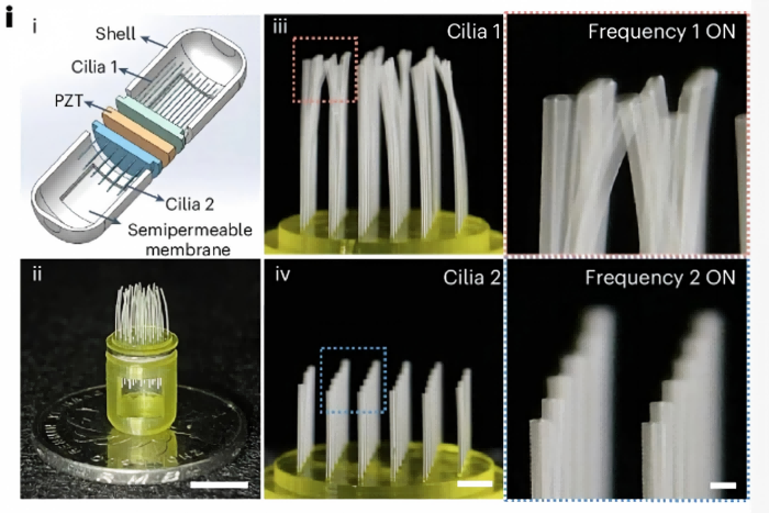 Microscale artificial hair bundles using BMF's PμSL micro-3D printing