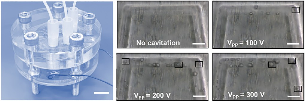 A high-precision microfluidic hybrid chip A high-precision microfluidic hybrid chip