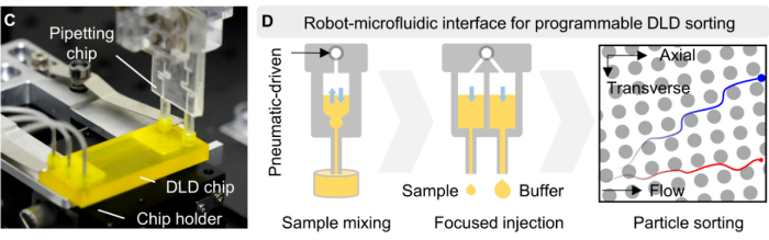 1787560964518759.png microscale pillar-array structures required for precise DLD separation.png