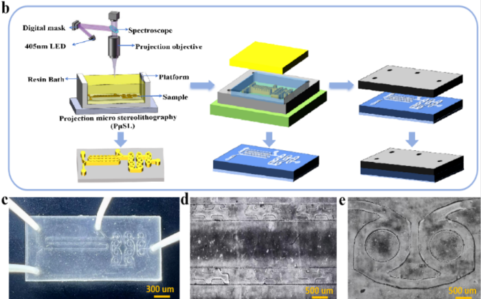 1787560982903508.png biomimetic leaf-vein groove–horseshoe micromixer (VGHM).png