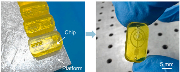 1787561028378132.png microfluidic chip.png