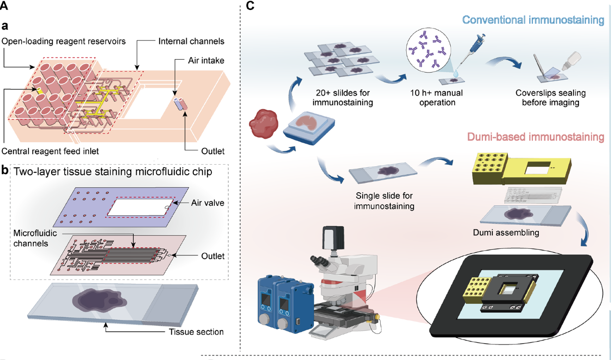 Dual-mode microfluidic Dual-mode microfluidic