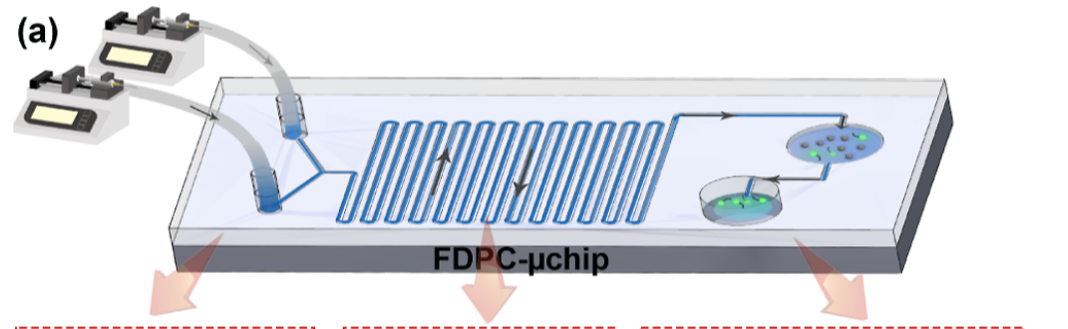 μChip μChip