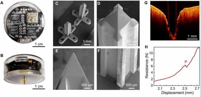 Dual-Sensing Microneedles.png