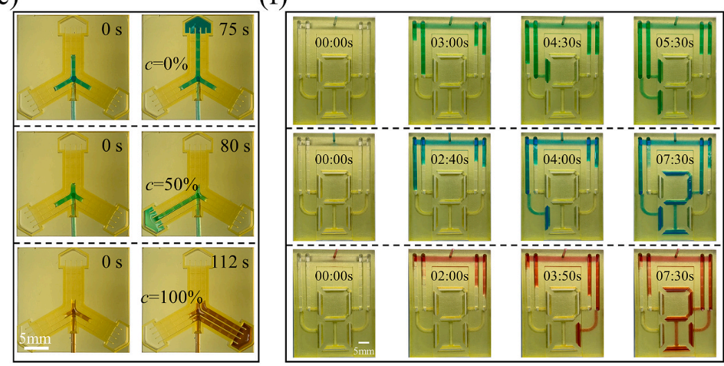 Functional microfluidic devices based on high-curvature arc-shaped edges Functional microfluidic devices based on high-curvature arc-shaped edges