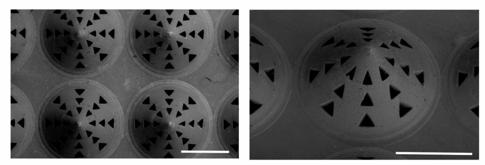 Representative scanning electron microscopy (SEM) images of the IEMP