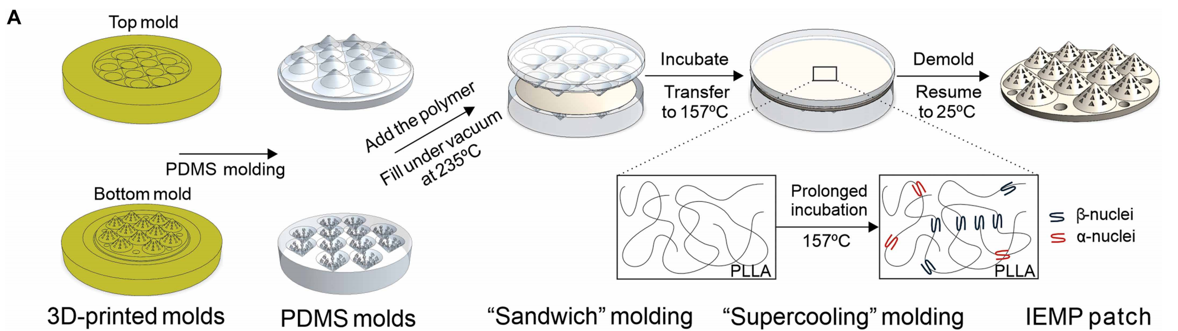 Schematic presenting the fabrication process of the IEMP patch